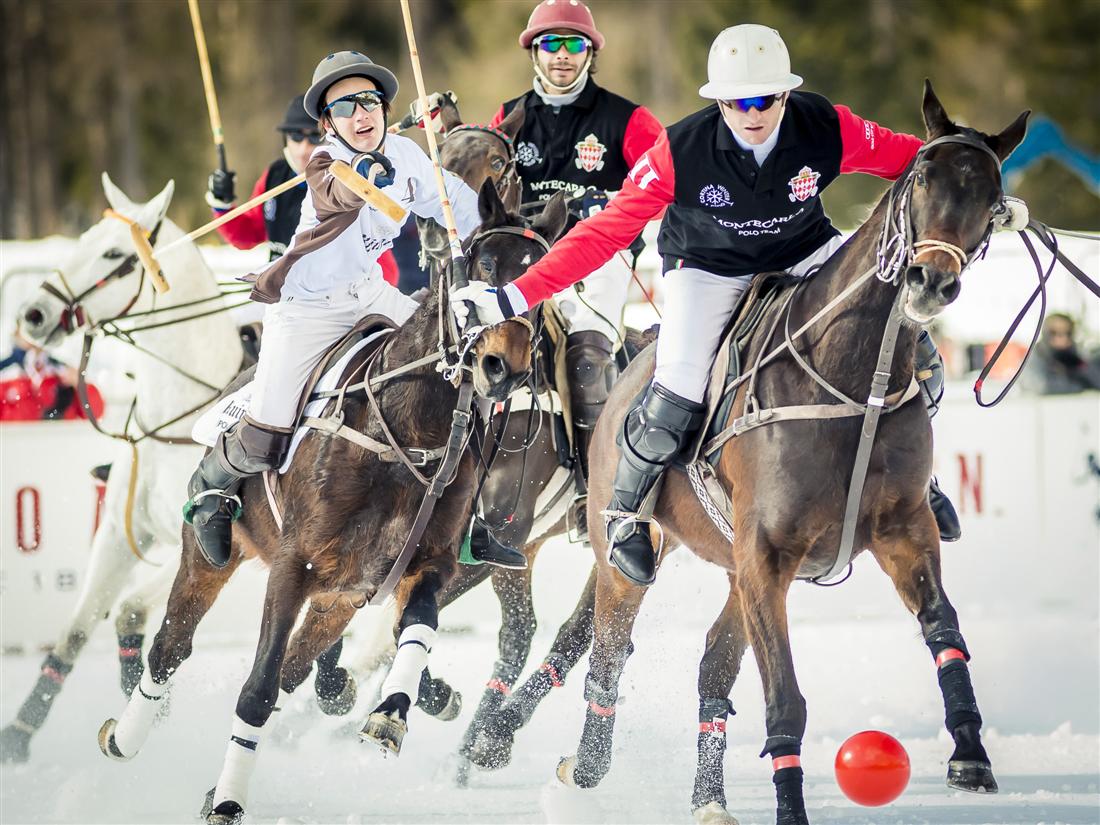 polo top tournament cortina polo selezione apres  Bandion 11