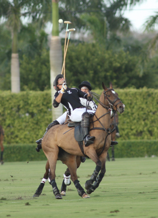 Zacara Polo Team v Lucchese Polo Team