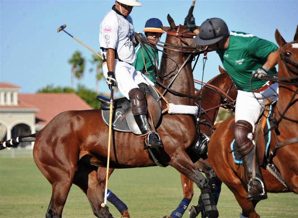 polo newport ami de la mer DSC 4078